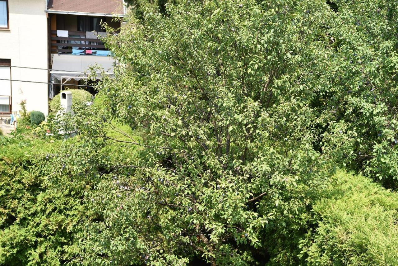 Apartman Jadranka Zaprešić Esterno foto